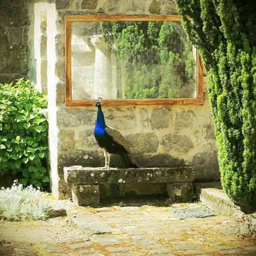 Echouboulains Domaine De Frevent Bed & Breakfast エクステリア 写真